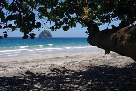 Le Chant Du Diamant Calme Vue Mer Et Plage A 50 M Le Diamant Exteriér fotografie